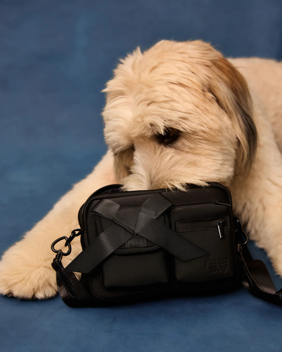 Walking Bag