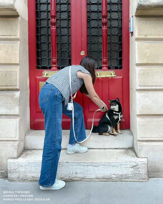 4-in-1 Convertible Hands Free Cloud Dog Leash