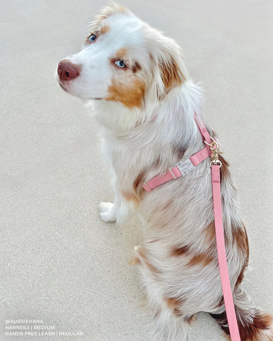 Waterproof Cloud Leash
