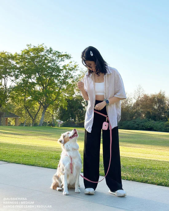 4-in-1 Convertible Hands Free Cloud Dog Leash