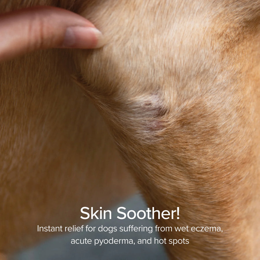 Foaming Hot Spot and Itch Relief