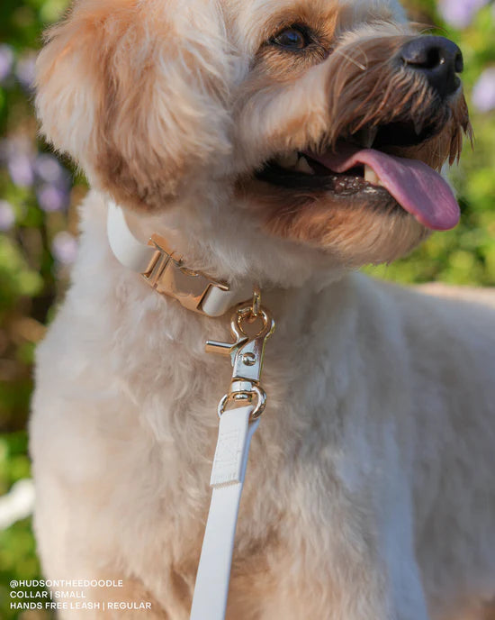 Waterproof Cloud Leash