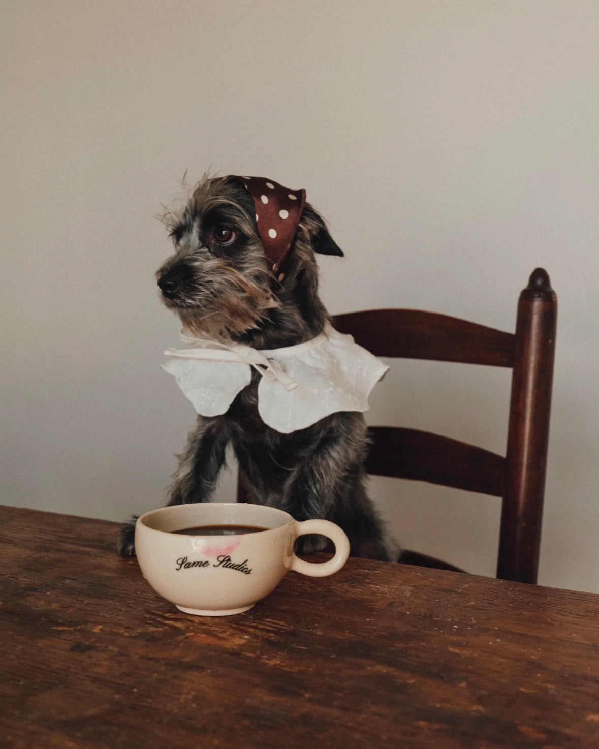 The Wanda Collar