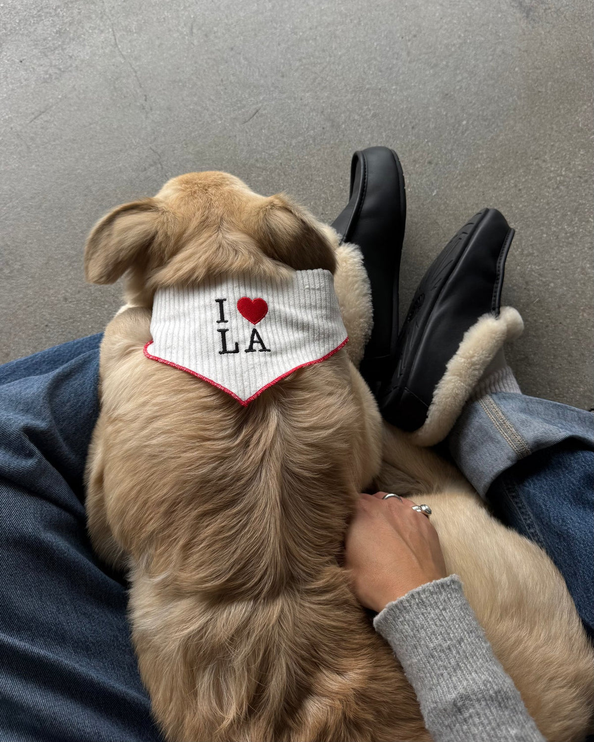 I ❤️ LA Bandana