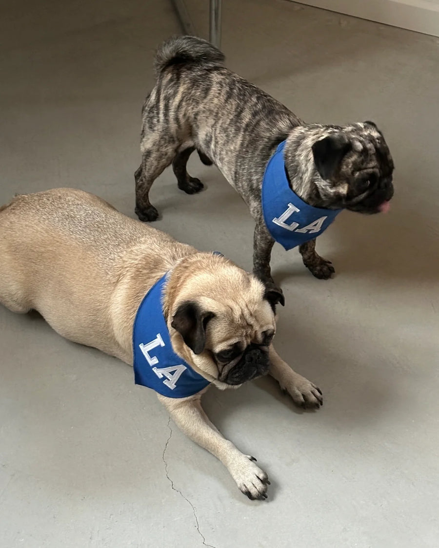 LA Dog Bandana