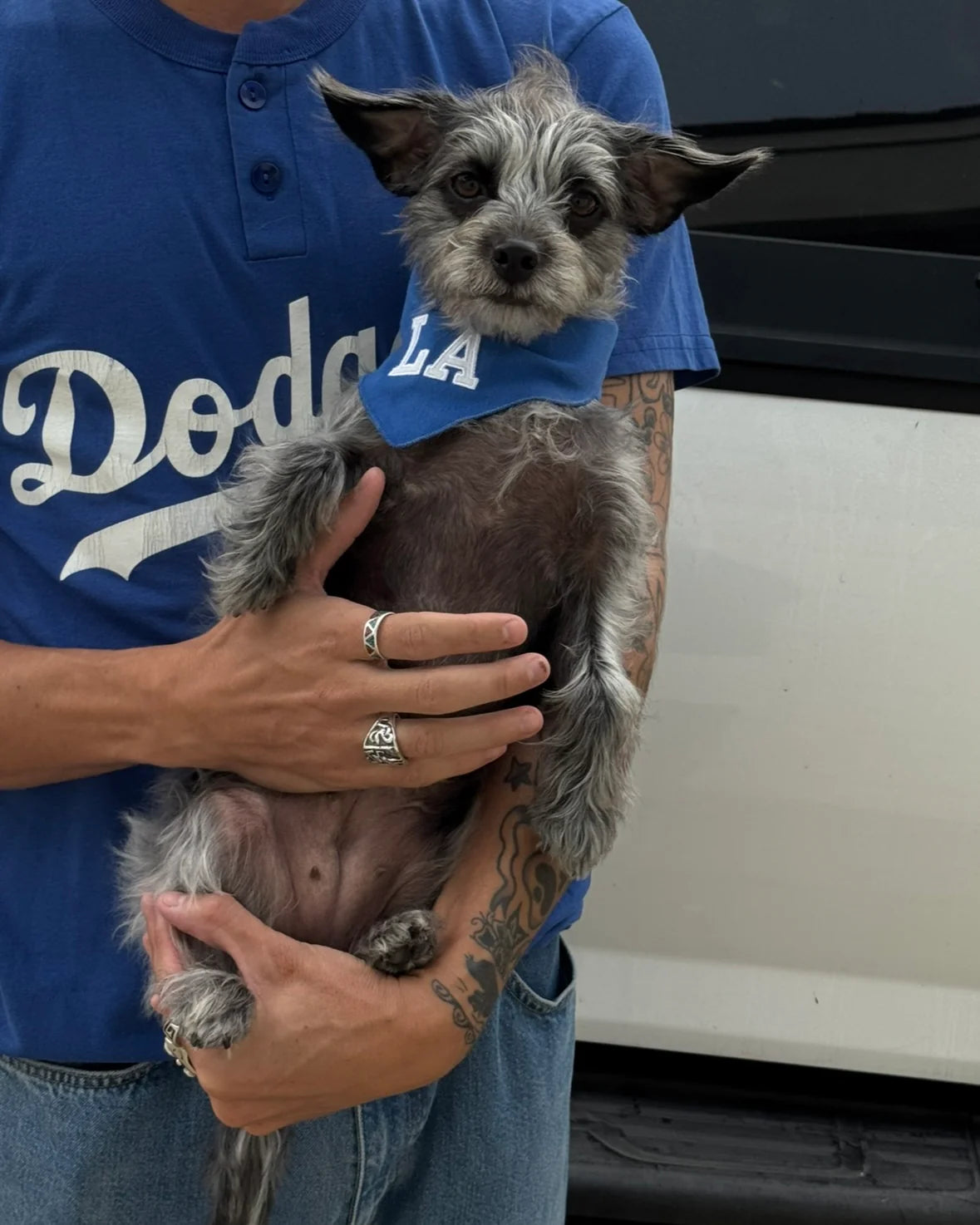 LA Dog Bandana