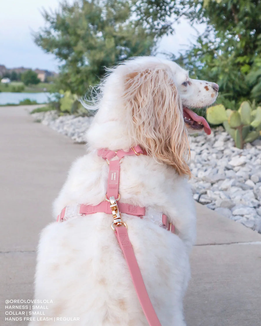 Waterproof Cloud Leash