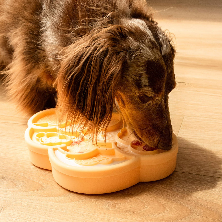 Cloud Nine Lick Mat & Lid