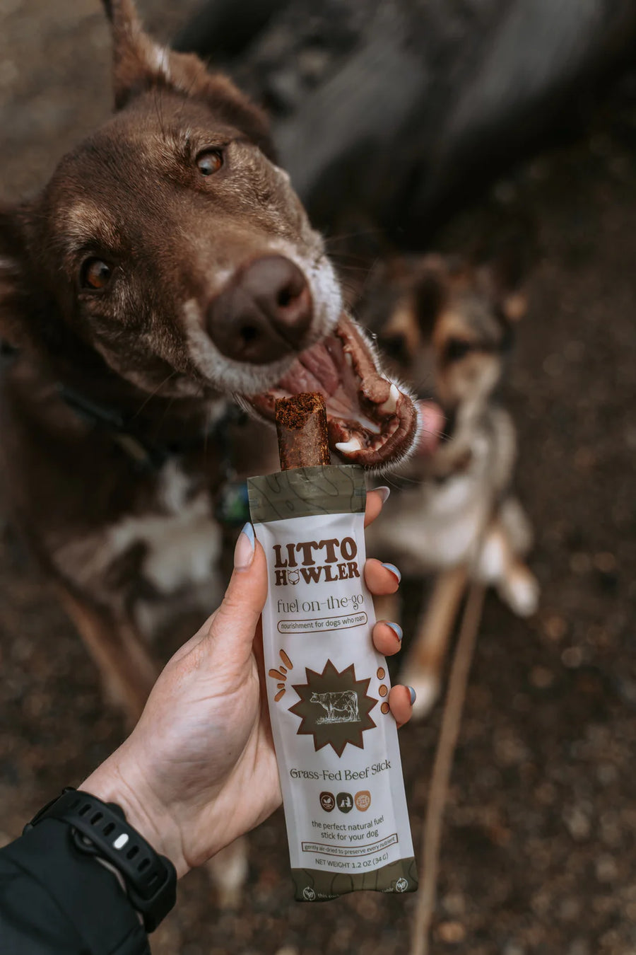 Grass Fed Beef Stick