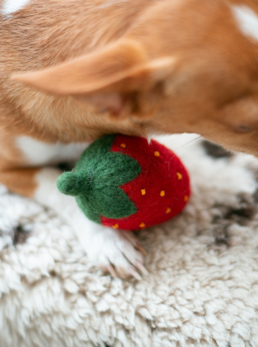 Strawberry Wool Dog Toy - Red