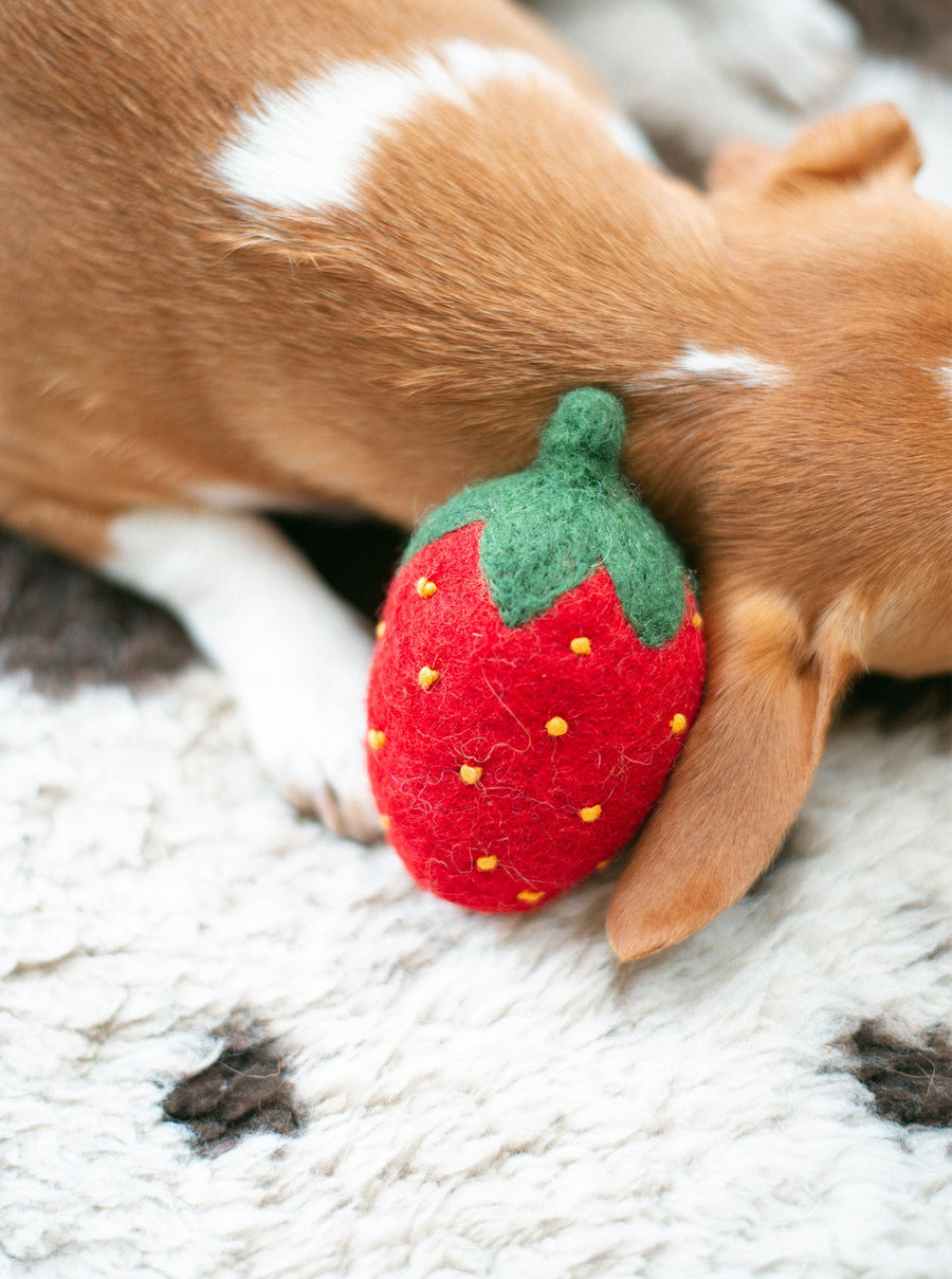 Strawberry Wool Dog Toy - Red