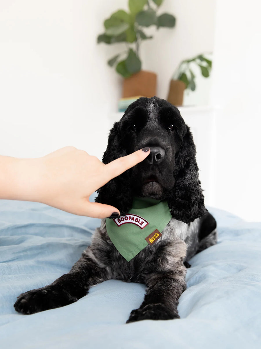 Boopable Iron-on Patch for Dogs and Cats