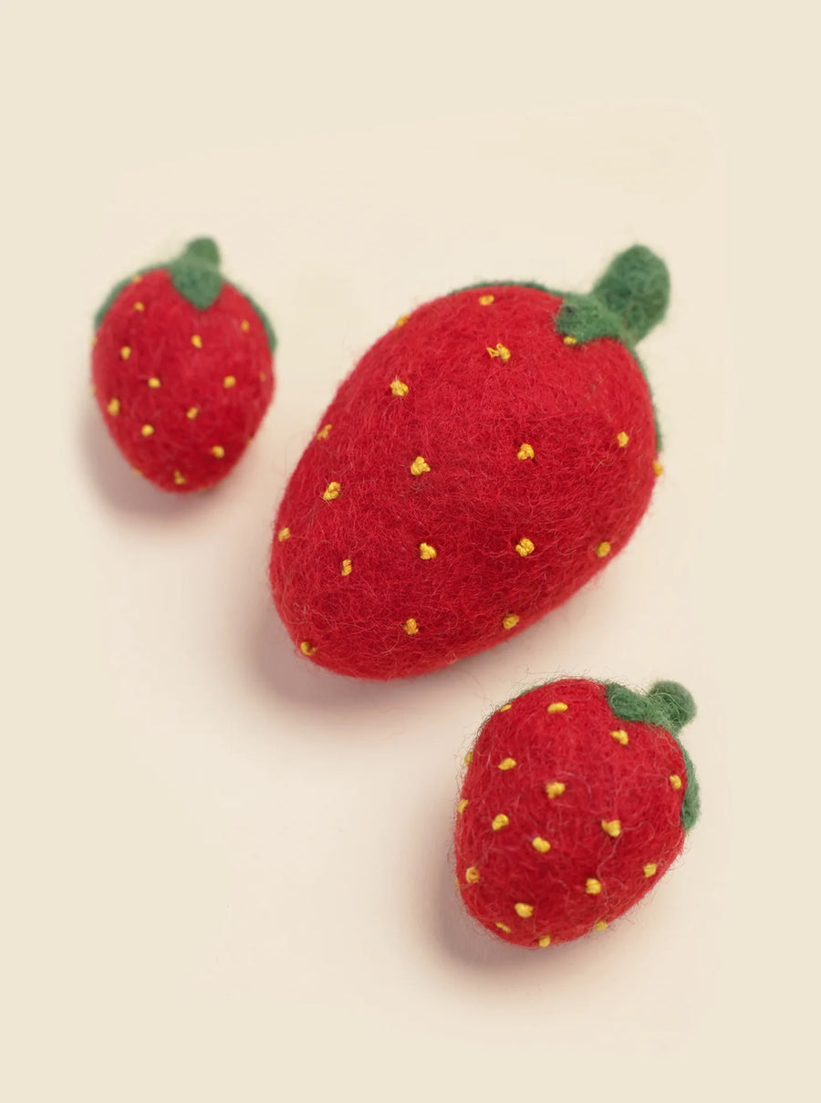 Strawberry Wool Dog Toy