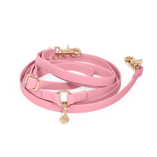 4-in-1 Convertible Hands Free Cloud Dog Leash