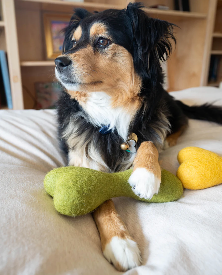 Classic Woolbone Dog Toy