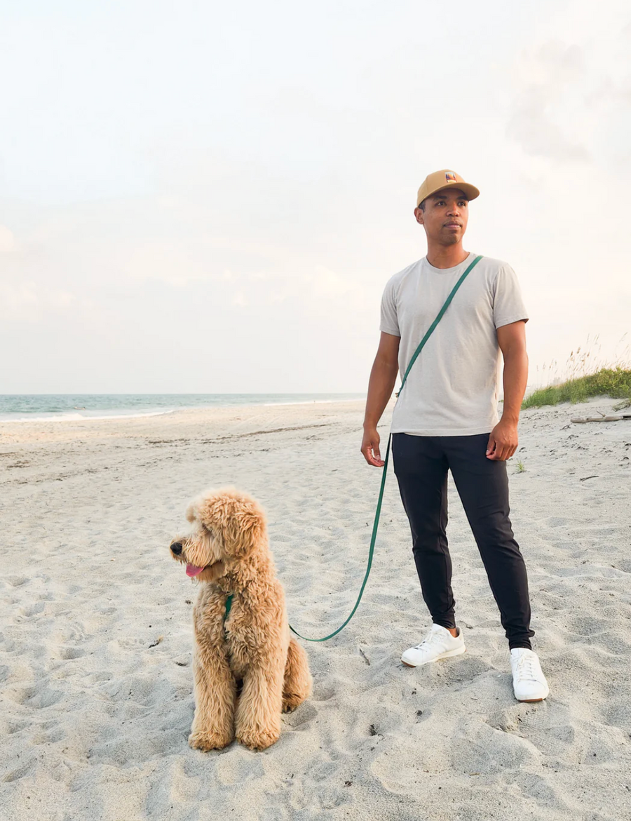 4-in-1 Convertible Hands Free Cloud Dog Leash