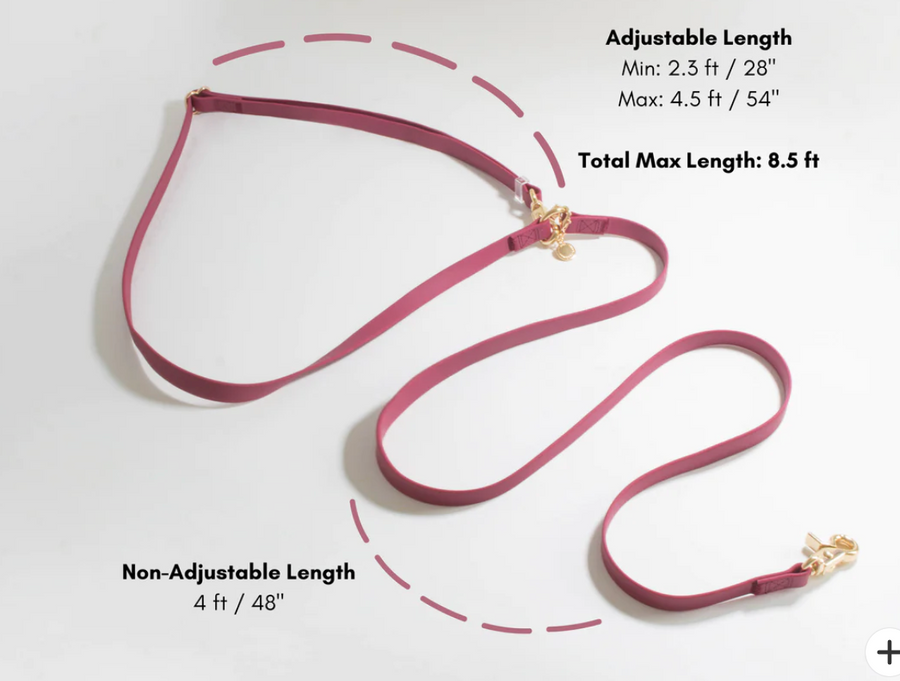 4-in-1 Convertible Hands Free Cloud Dog Leash