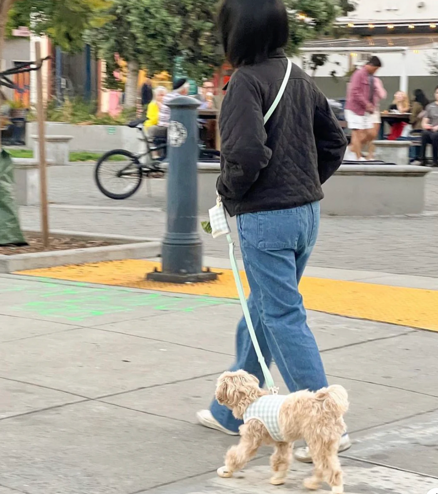 4-in-1 Convertible Hands Free Cloud Dog Leash