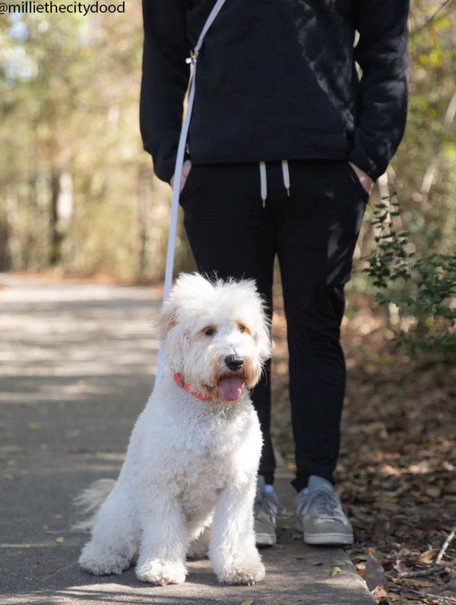 4-in-1 Convertible Hands Free Cloud Dog Leash