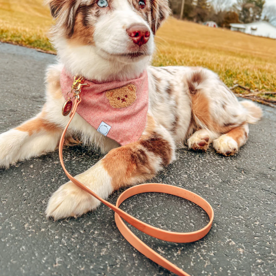 Waterproof Cloud Leash