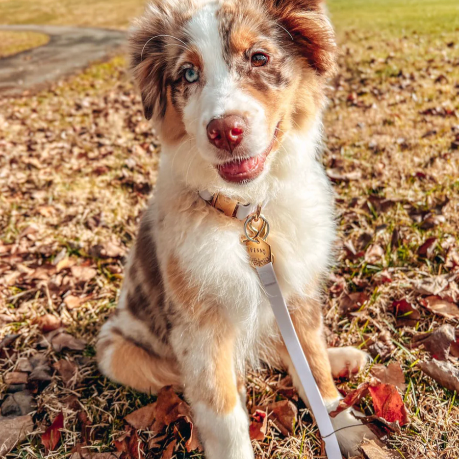 Waterproof Cloud Leash