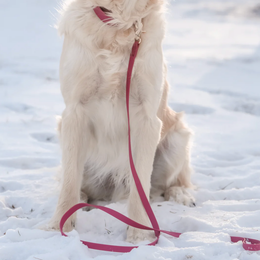 Waterproof Cloud Leash
