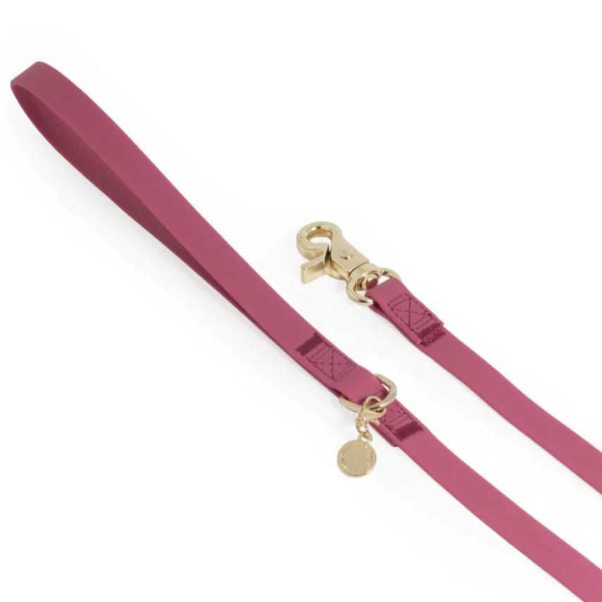 Waterproof Cloud Leash