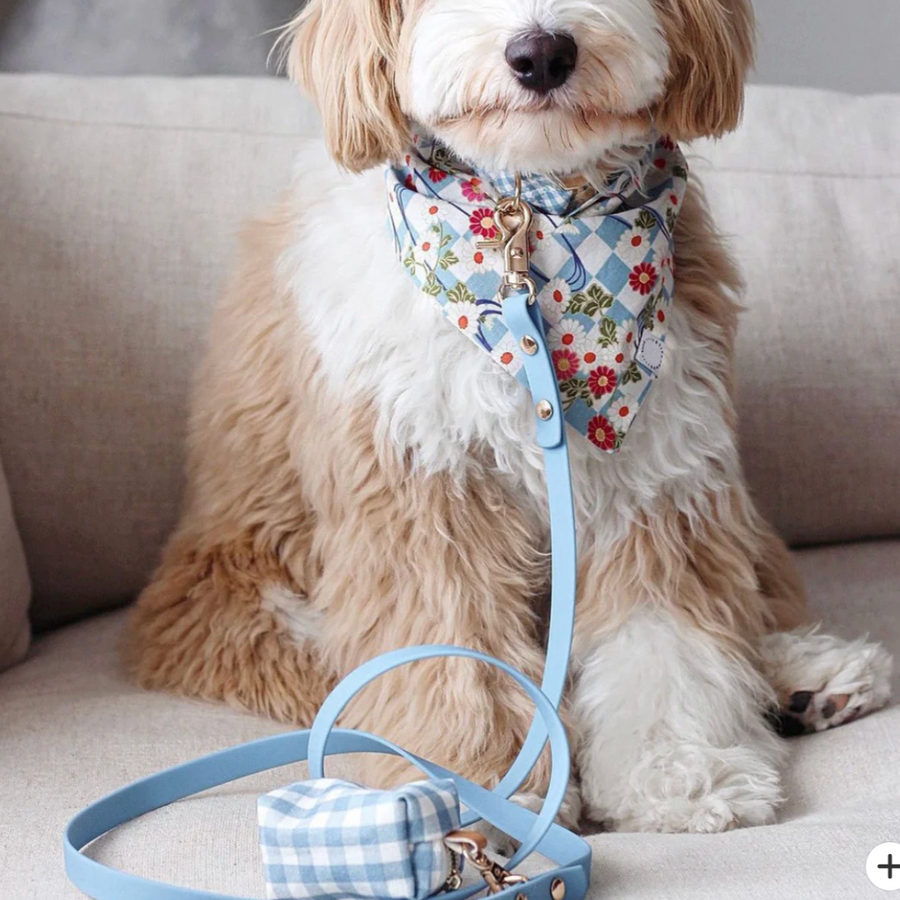 Waterproof Cloud Leash