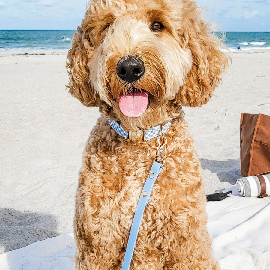 Waterproof Cloud Leash