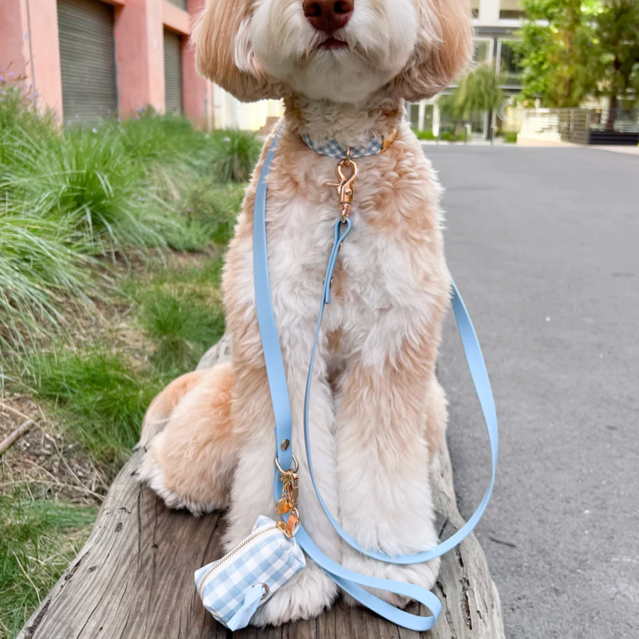 Waterproof Cloud Leash