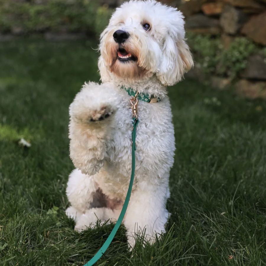 Waterproof Cloud Leash