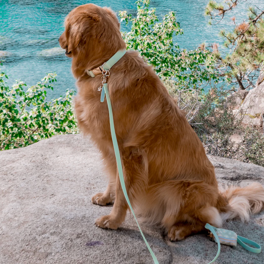 Waterproof Cloud Leash
