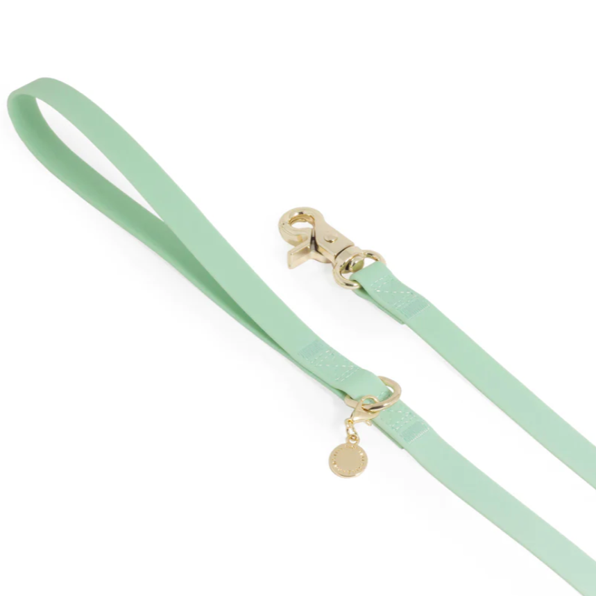Waterproof Cloud Leash