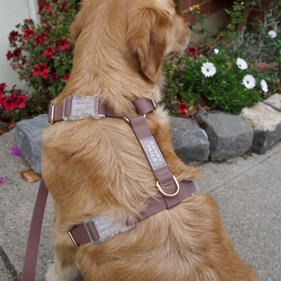 Waterproof Cloud Leash