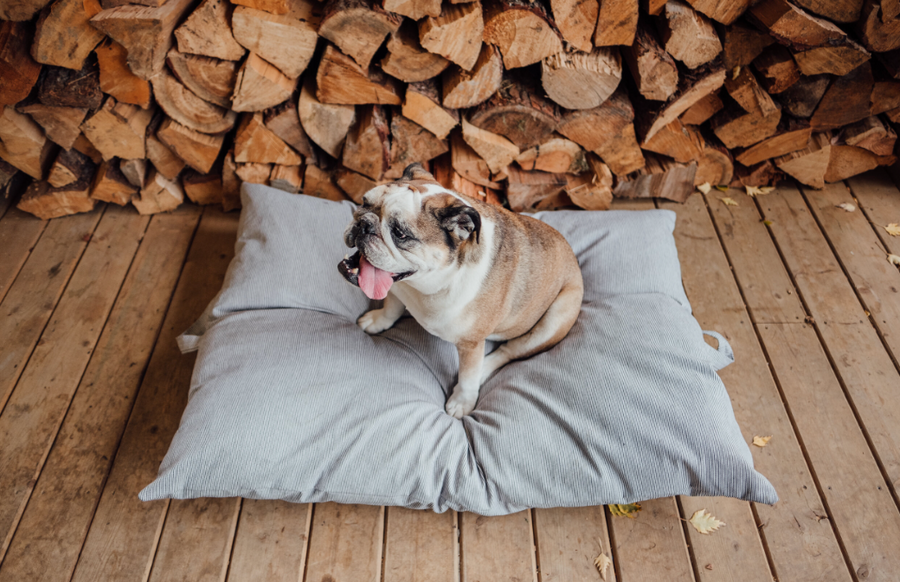 The Cargo Bed