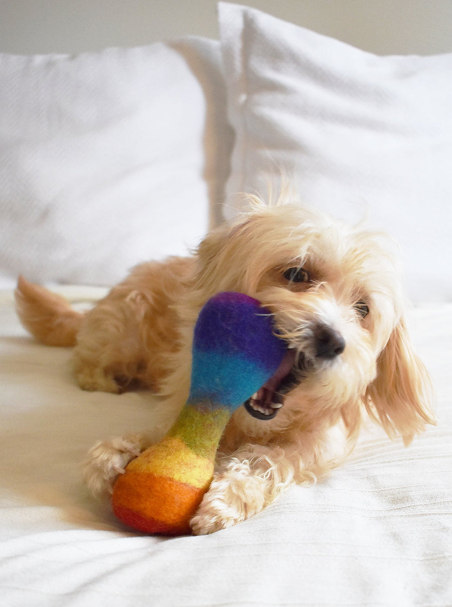 Rainbow Woolbone Dog Toy