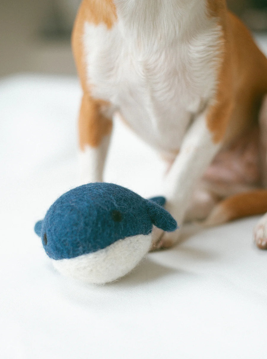 Wool Whale Dog Toy