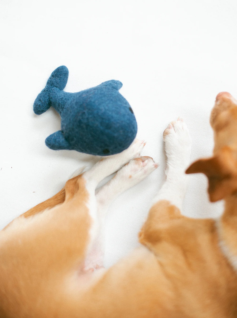 Wool Whale Dog Toy