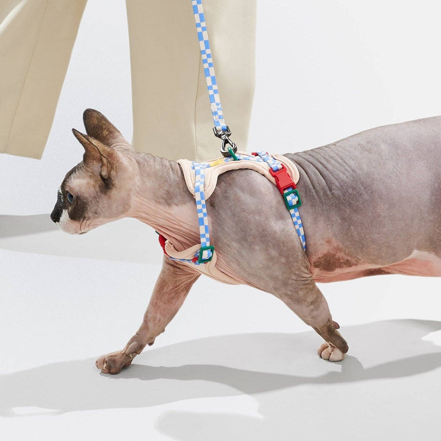 Wild One Cat Harness & Leash