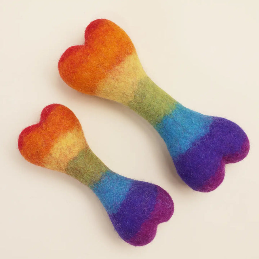 Rainbow Woolbone Dog Toy