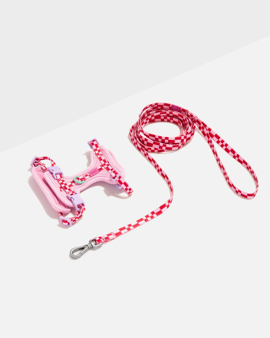 Wild One Cat Harness & Leash