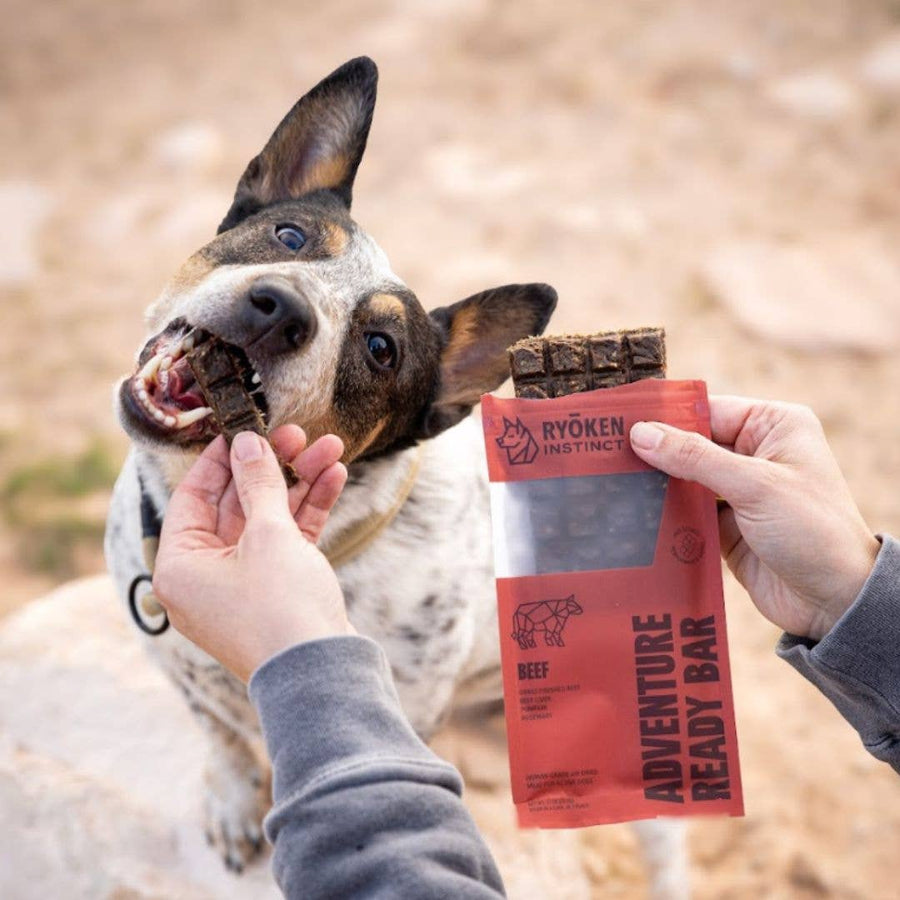 Beef Treat & Snack Bar for Active Dogs - Energy & Recovery
