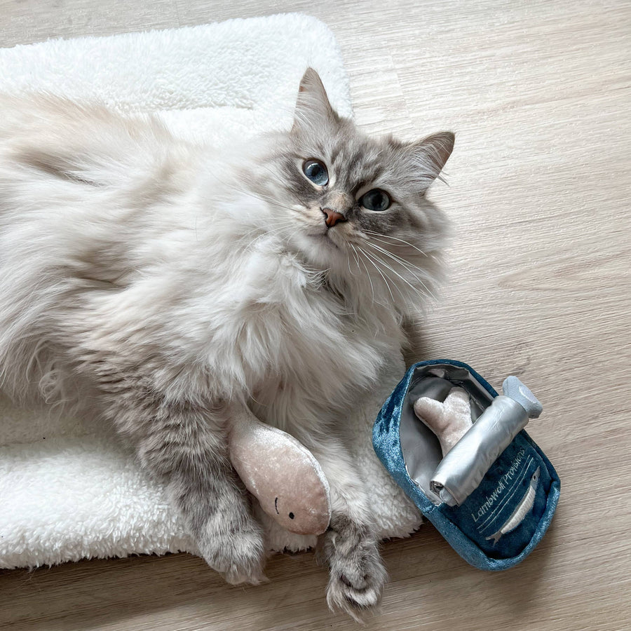 Fluffy cat lounging with the Lambwolf Kitty Sardines cat toy