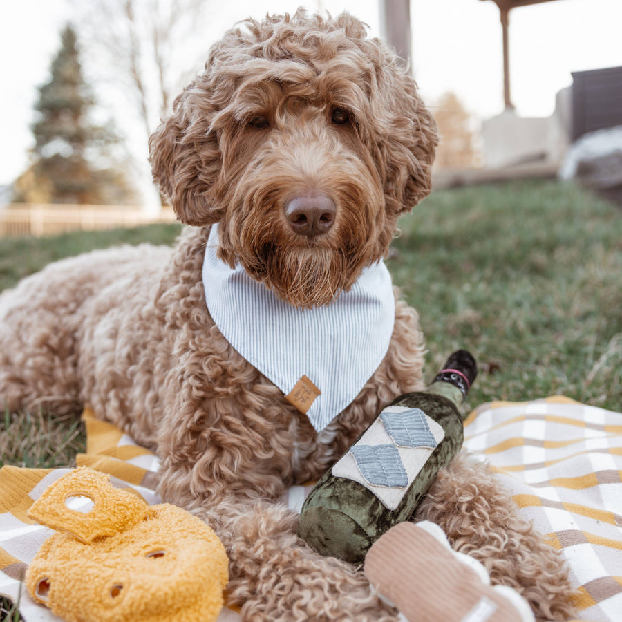 Merlot Dog Toy
