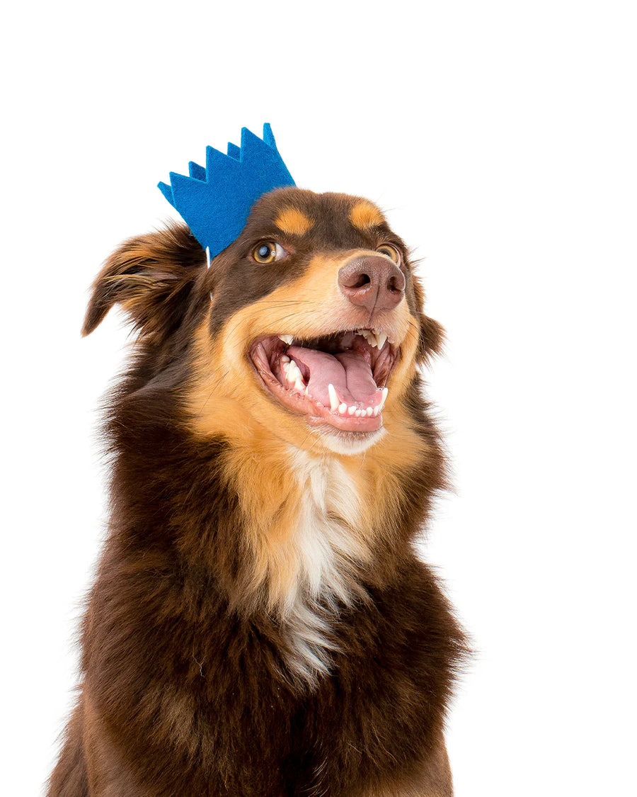 Bright Party Crown