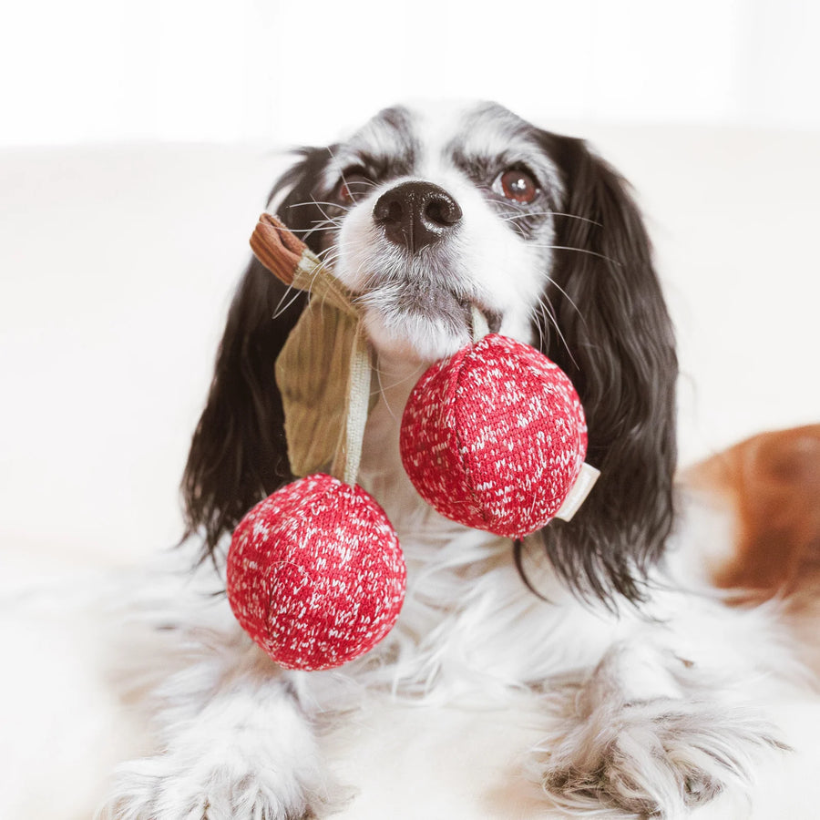 Cherry POP Dog Toy