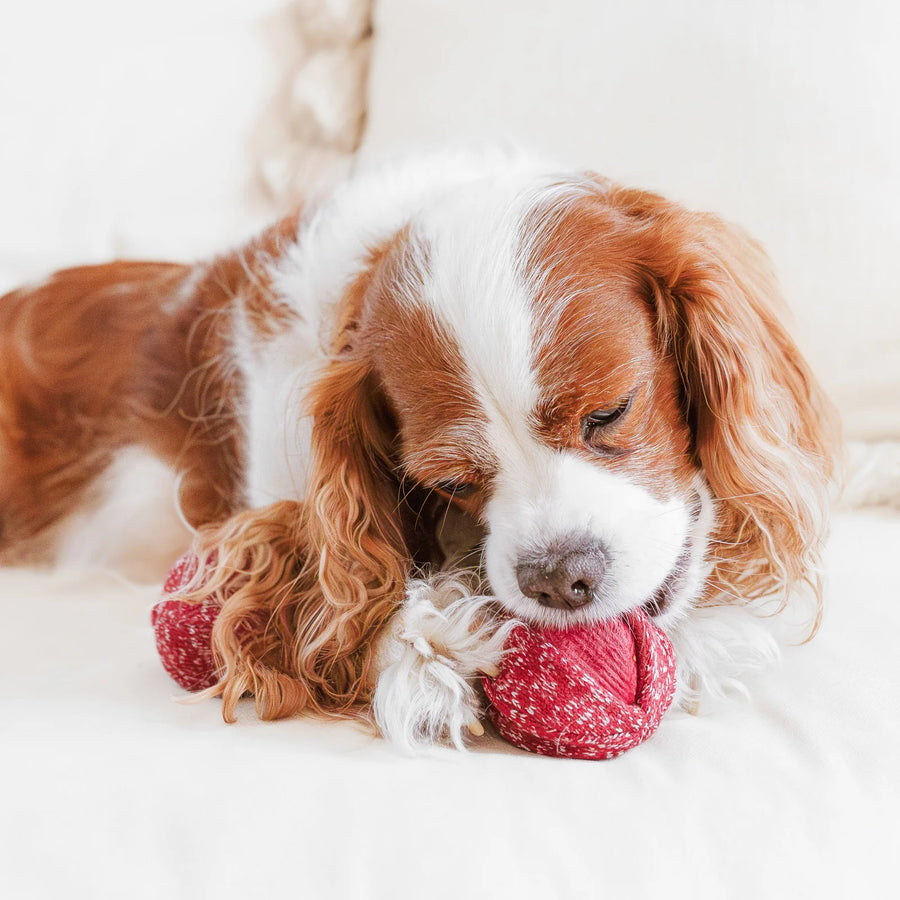 Cherry POP Dog Toy