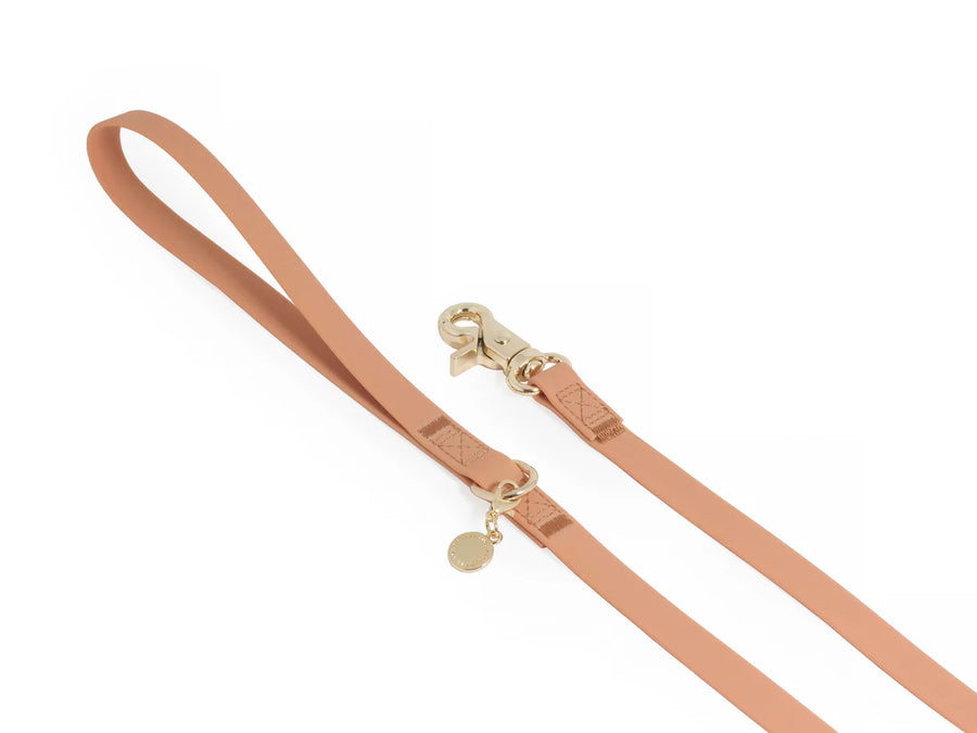 Waterproof Cloud 30 Ft Dog Leash