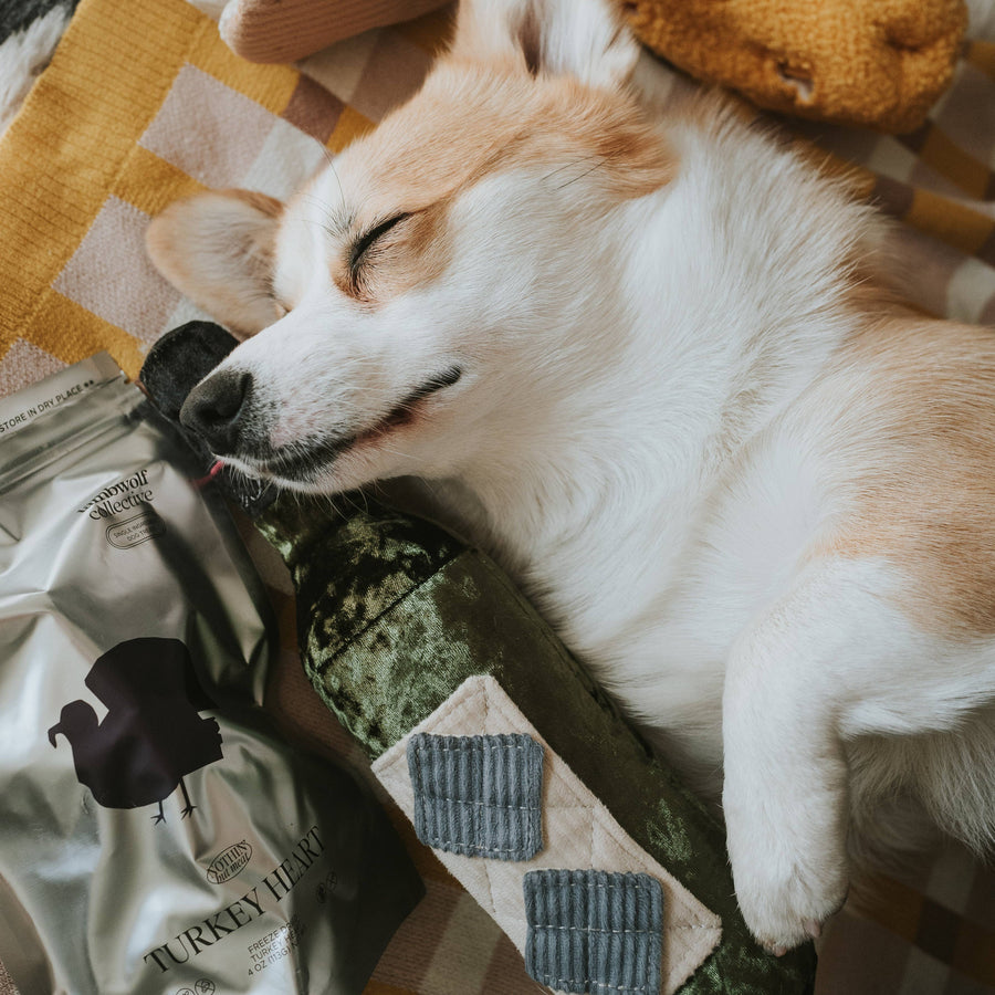 Merlot Dog Toy