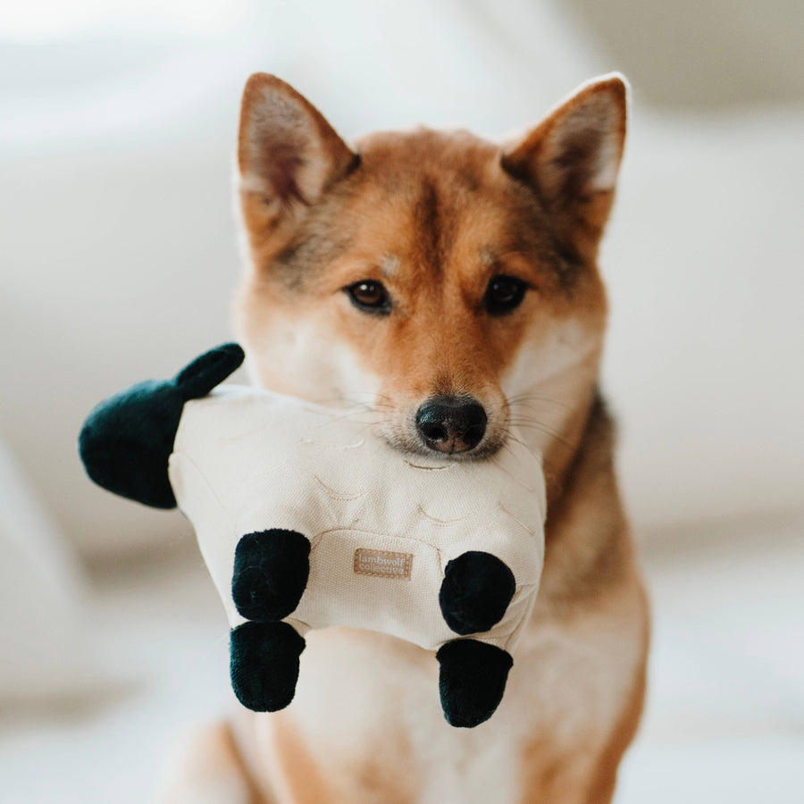 Dolly Dog Toy